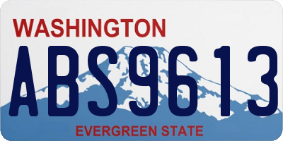 WA license plate ABS9613