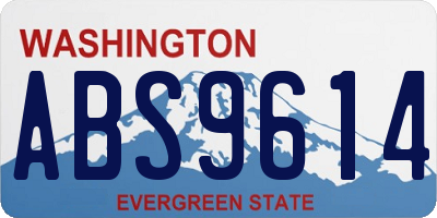 WA license plate ABS9614