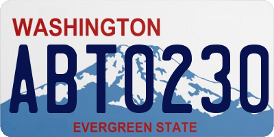 WA license plate ABT0230