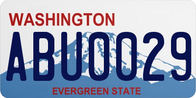 WA license plate ABU0029