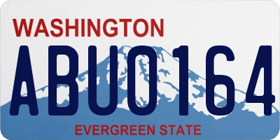 WA license plate ABU0164