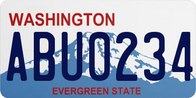 WA license plate ABU0234