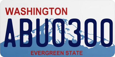 WA license plate ABU0300