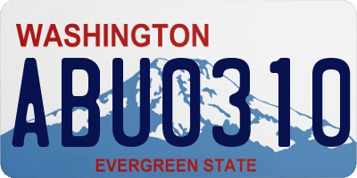 WA license plate ABU0310