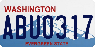 WA license plate ABU0317
