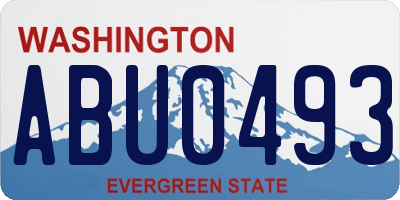 WA license plate ABU0493