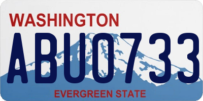 WA license plate ABU0733