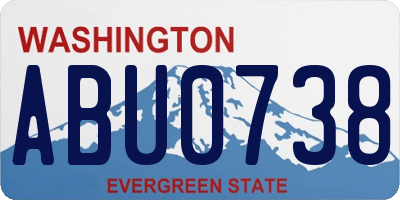 WA license plate ABU0738