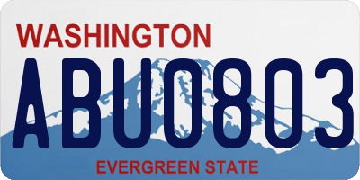 WA license plate ABU0803