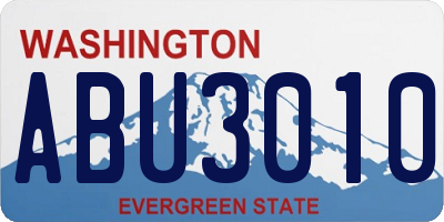 WA license plate ABU3010