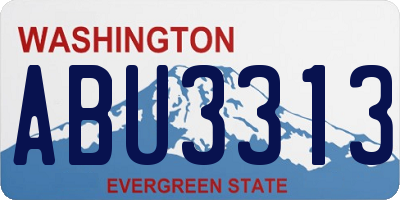 WA license plate ABU3313