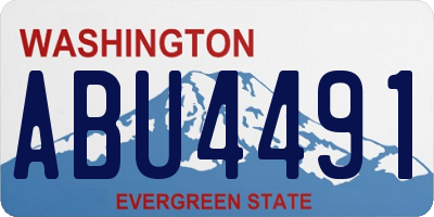 WA license plate ABU4491