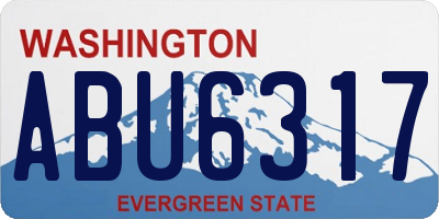 WA license plate ABU6317