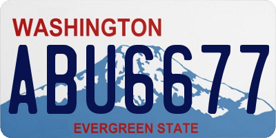 WA license plate ABU6677