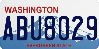 WA license plate ABU8029
