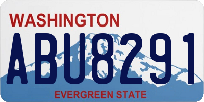 WA license plate ABU8291