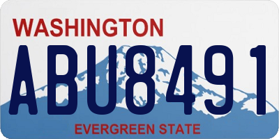 WA license plate ABU8491