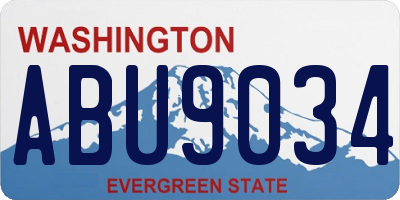 WA license plate ABU9034