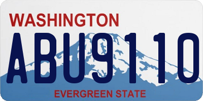 WA license plate ABU9110