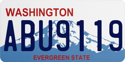 WA license plate ABU9119