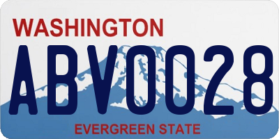 WA license plate ABV0028
