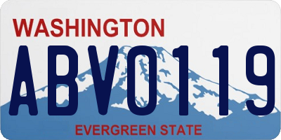 WA license plate ABV0119
