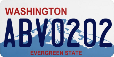 WA license plate ABV0202