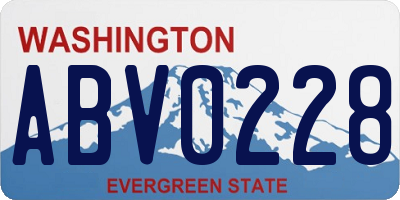 WA license plate ABV0228