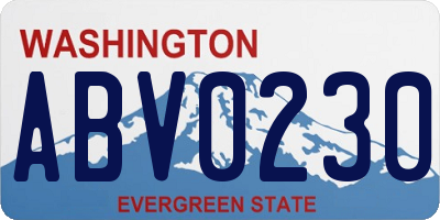 WA license plate ABV0230