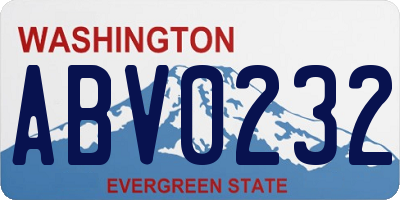 WA license plate ABV0232