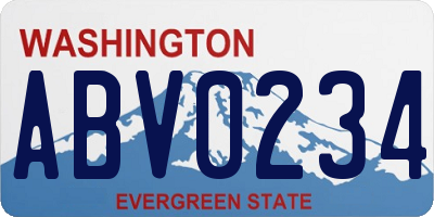 WA license plate ABV0234