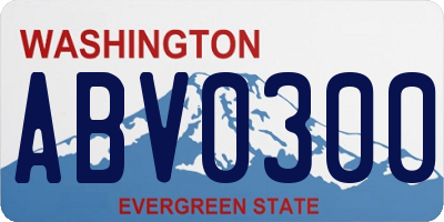 WA license plate ABV0300