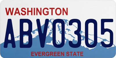 WA license plate ABV0305