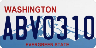 WA license plate ABV0310
