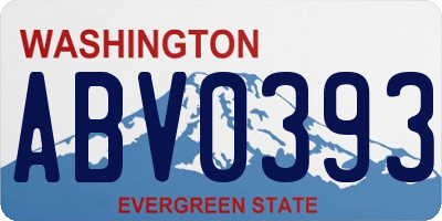 WA license plate ABV0393