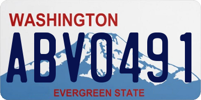 WA license plate ABV0491