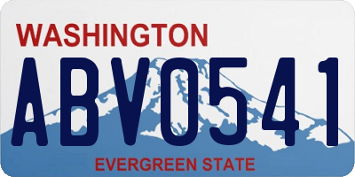 WA license plate ABV0541