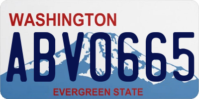 WA license plate ABV0665