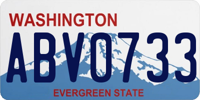 WA license plate ABV0733
