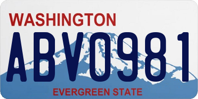 WA license plate ABV0981