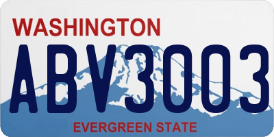 WA license plate ABV3003