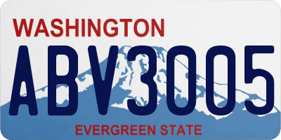 WA license plate ABV3005