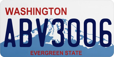 WA license plate ABV3006