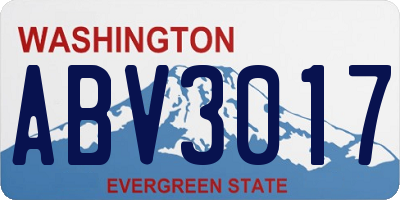 WA license plate ABV3017