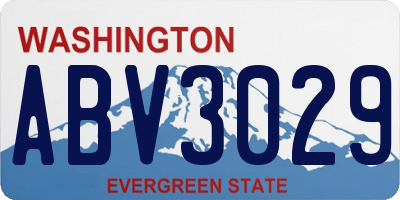 WA license plate ABV3029