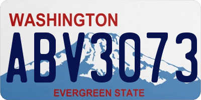 WA license plate ABV3073