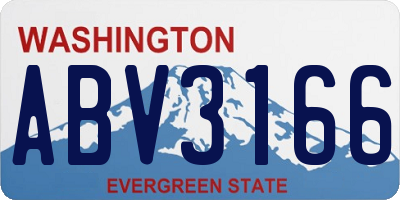 WA license plate ABV3166