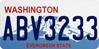 WA license plate ABV3233
