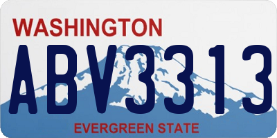 WA license plate ABV3313