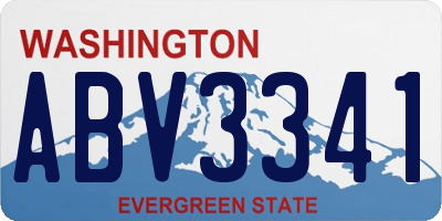 WA license plate ABV3341
